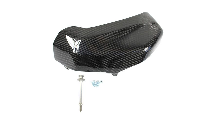 BMW R 1250 RS Cubierta de carbono para lado izquierdo (protección para cilindros)