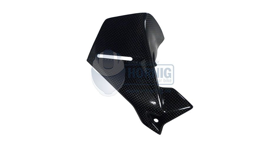 BMW R 1200 GS LC (2013-2018) & R 1200 GS Adventure LC (2014-2018) Protección contra viento de Carbono, para instrumentación de lado izquierdo