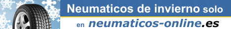 neumaticos-online.es