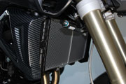 Protección para el enfriador para BMW F 800 R (2015 - )