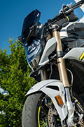 Conversión BMW S1000R (2021) de Hornig