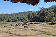 Mae Hong Son Loop - Etapa 2